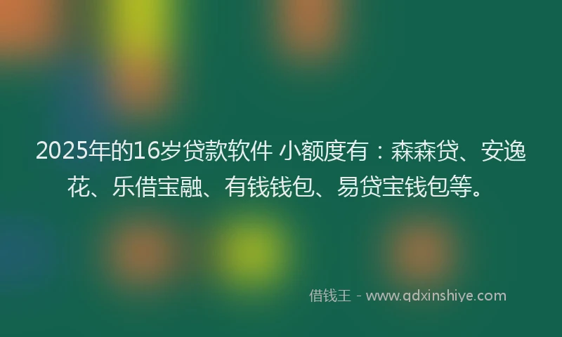 2025年的16岁贷款软件 小额度有：森森贷、安逸花、乐借宝融、有钱钱包、易贷宝钱包等。