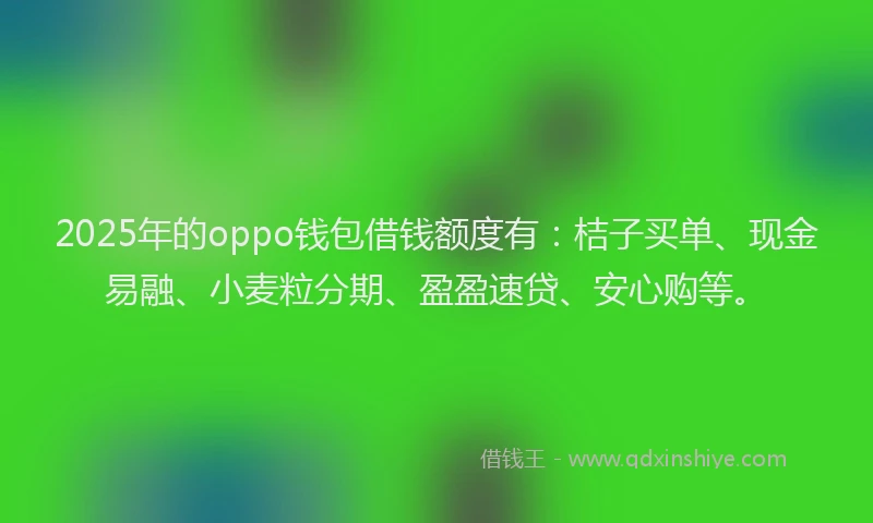 2025年的oppo钱包借钱额度有：桔子买单、现金易融、小麦粒分期、盈盈速贷、安心购等。