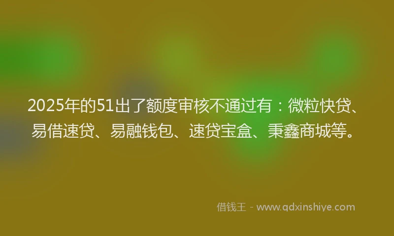 2025年的51出了额度审核不通过有：微粒快贷、易借速贷、易融钱包、速贷宝盒、秉鑫商城等。