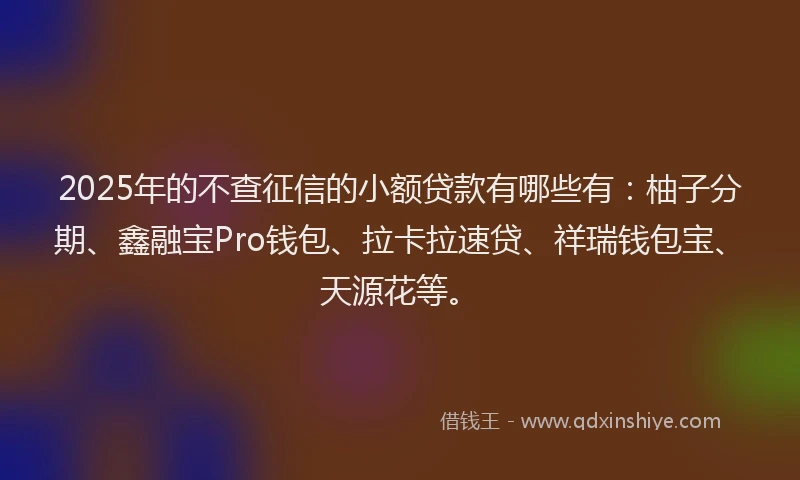 2025年的不查征信的小额贷款有哪些有：柚子分期、鑫融宝Pro钱包、拉卡拉速贷、祥瑞钱包宝、天源花等。