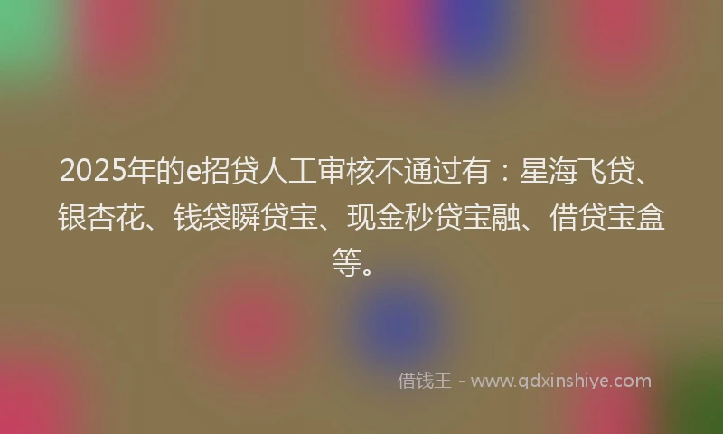 2025年的e招贷人工审核不通过有：星海飞贷、银杏花、钱袋瞬贷宝、现金秒贷宝融、借贷宝盒等。