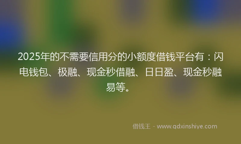 2025年的不需要信用分的小额度借钱平台有：闪电钱包、极融、现金秒借融、日日盈、现金秒融易等。