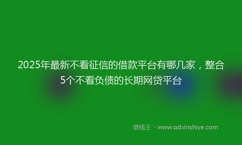 2025年最新不看征信的借款平台有哪几家，整合5个不看负债的长期网贷平台