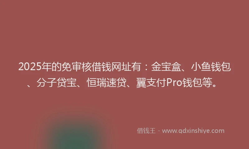 2025年的免审核借钱网址有：金宝盒、小鱼钱包、分子贷宝、恒瑞速贷、翼支付Pro钱包等。