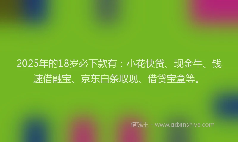 2025年的18岁必下款有：小花快贷、现金牛、钱速借融宝、京东白条取现、借贷宝盒等。