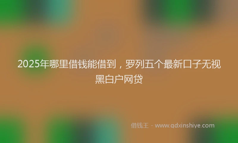 2025年哪里借钱能借到，罗列五个最新口子无视黑白户网贷