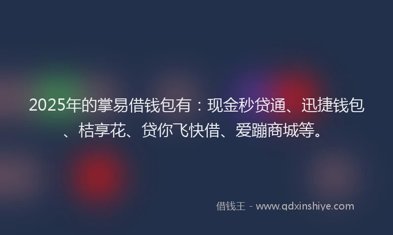 2025年的掌易借钱包有：现金秒贷通、迅捷钱包、桔享花、贷你飞快借、爱蹦商城等。