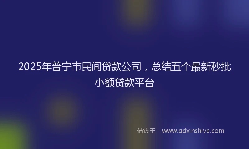 2025年普宁市民间贷款公司，总结五个最新秒批小额贷款平台