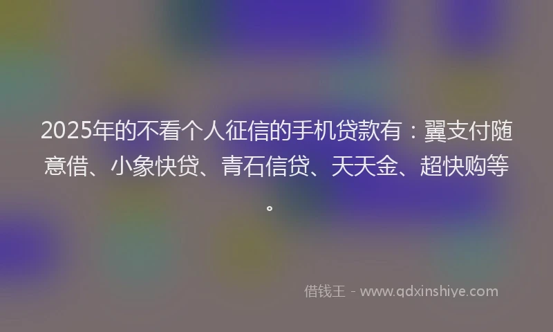 2025年的不看个人征信的手机贷款有：翼支付随意借、小象快贷、青石信贷、天天金、超快购等。
