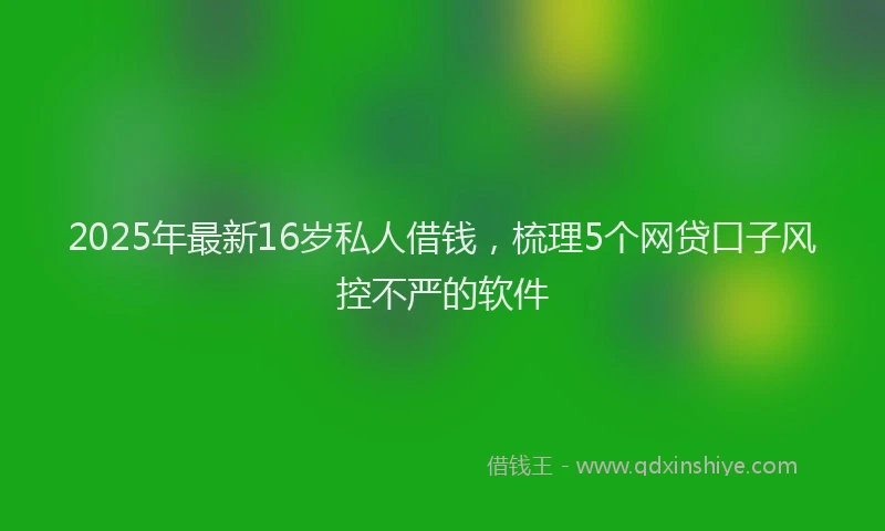 2025年最新16岁私人借钱，梳理5个网贷口子风控不严的软件
