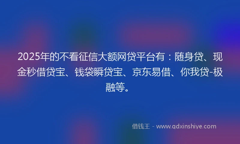2025年的不看征信大额网贷平台有：随身贷、现金秒借贷宝、钱袋瞬贷宝、京东易借、你我贷-极融等。