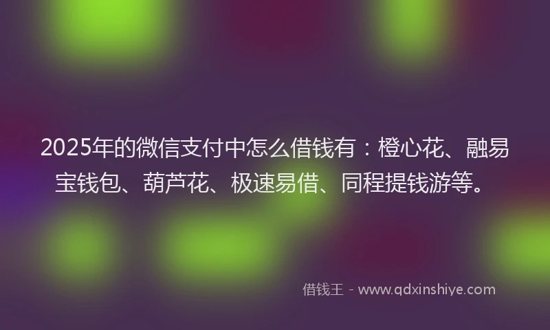2025年的微信支付中怎么借钱有：橙心花、融易宝钱包、葫芦花、极速易借、同程提钱游等。
