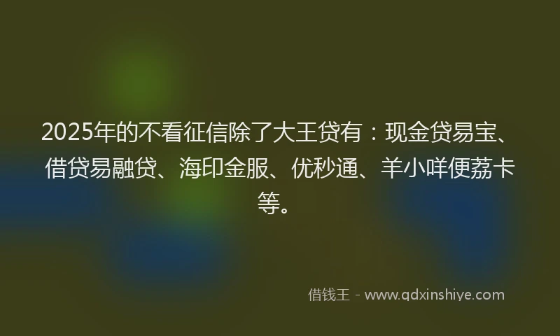 2025年的不看征信除了大王贷有：现金贷易宝、借贷易融贷、海印金服、优秒通、羊小咩便荔卡等。