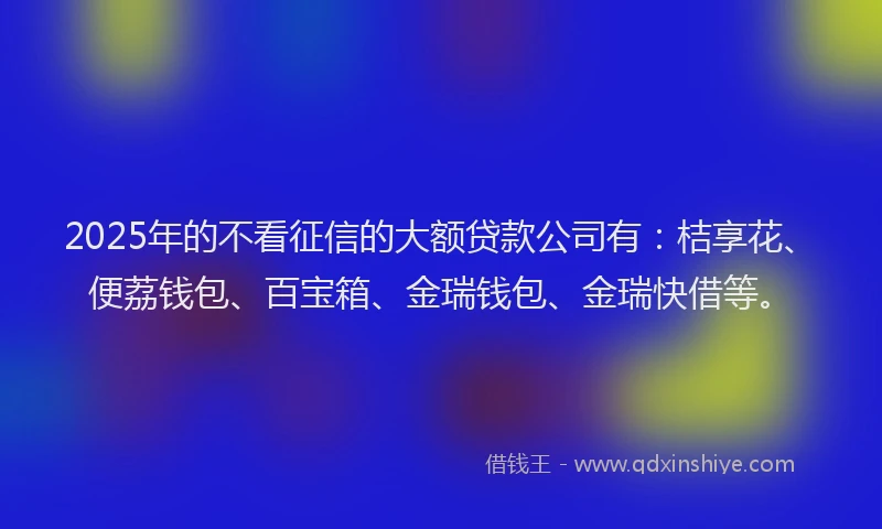 2025年的不看征信的大额贷款公司有：桔享花、便荔钱包、百宝箱、金瑞钱包、金瑞快借等。