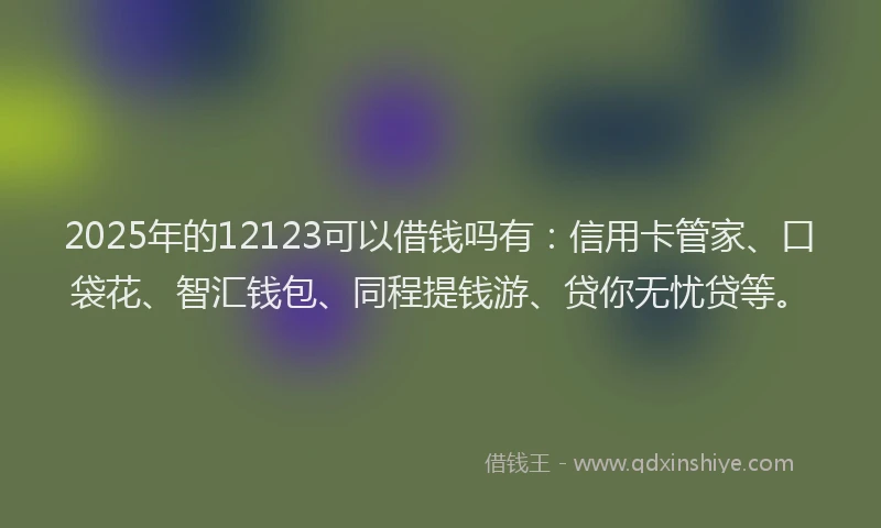 2025年的12123可以借钱吗有：信用卡管家、口袋花、智汇钱包、同程提钱游、贷你无忧贷等。
