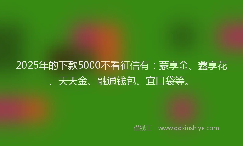 2025年的下款5000不看征信有：蒙享金、鑫享花、天天金、融通钱包、宜口袋等。