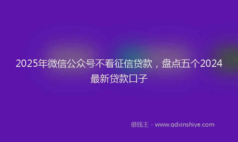 2025年微信公众号不看征信贷款，盘点五个2024最新贷款口子