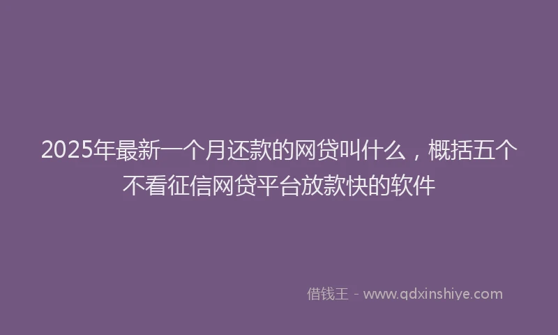 2025年最新一个月还款的网贷叫什么，概括五个不看征信网贷平台放款快的软件