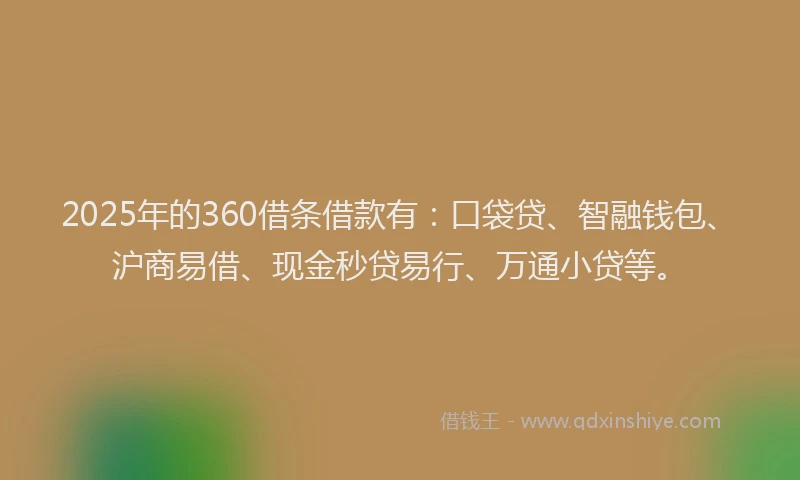 2025年的360借条借款有：口袋贷、智融钱包、沪商易借、现金秒贷易行、万通小贷等。