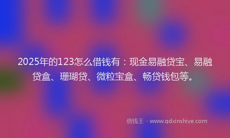 2025年的123怎么借钱有：现金易融贷宝、易融贷盒、珊瑚贷、微粒宝盒、畅贷钱包等。