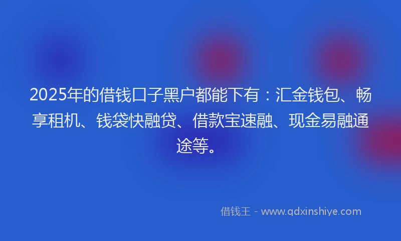 2025年的借钱口子黑户都能下有：汇金钱包、畅享租机、钱袋快融贷、借款宝速融、现金易融通途等。