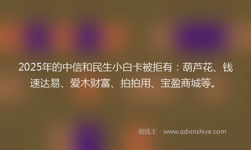 2025年的中信和民生小白卡被拒有：葫芦花、钱速达易、爱木财富、拍拍用、宝盈商城等。