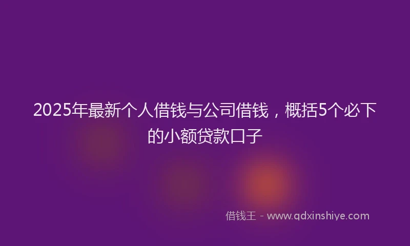 2025年最新个人借钱与公司借钱，概括5个必下的小额贷款口子