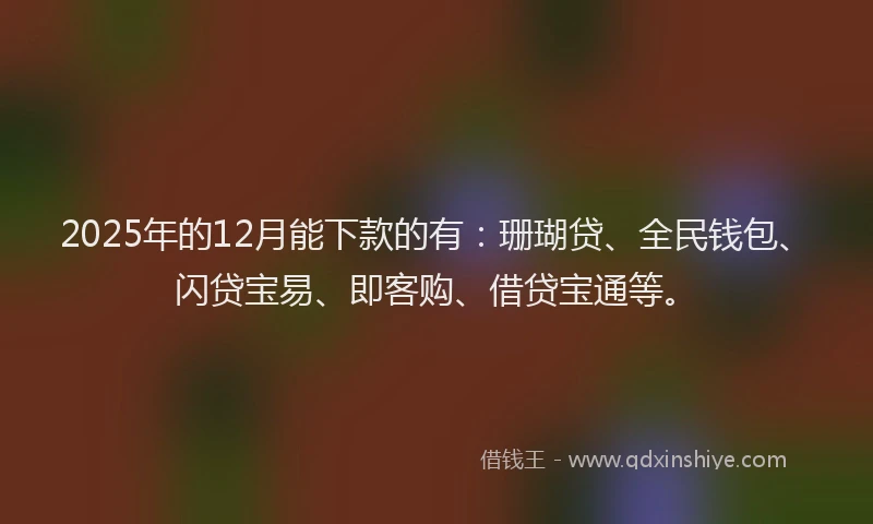 2025年的12月能下款的有：珊瑚贷、全民钱包、闪贷宝易、即客购、借贷宝通等。