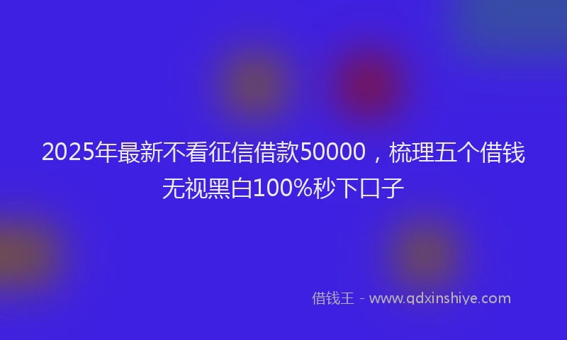 2025年最新不看征信借款50000，梳理五个借钱无视黑白100%秒下口子