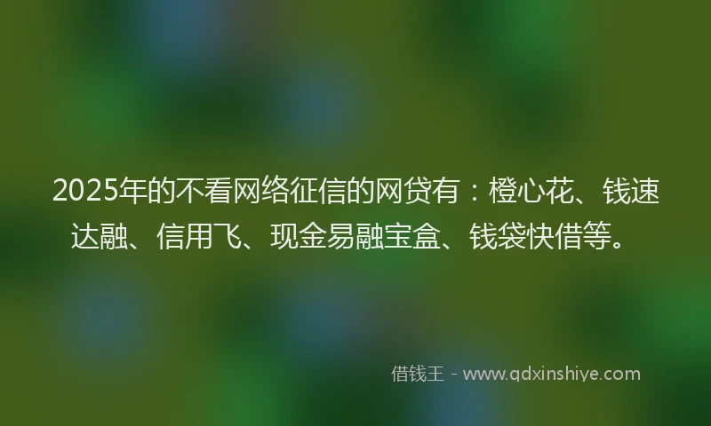 2025年的不看网络征信的网贷有：橙心花、钱速达融、信用飞、现金易融宝盒、钱袋快借等。