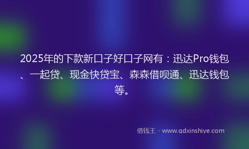 2025年的下款新口子好口子网有：迅达Pro钱包、一起贷、现金快贷宝、森森借呗通、迅达钱包等。