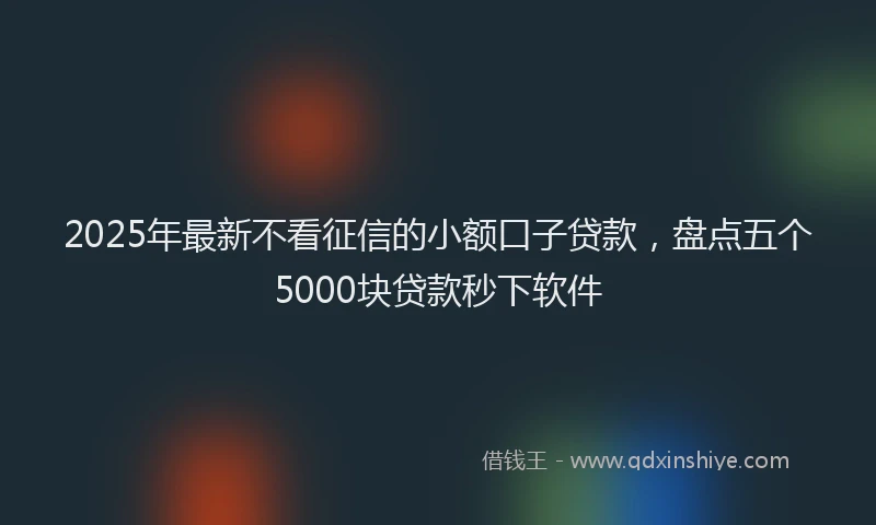 2025年最新不看征信的小额口子贷款，盘点五个5000块贷款秒下软件