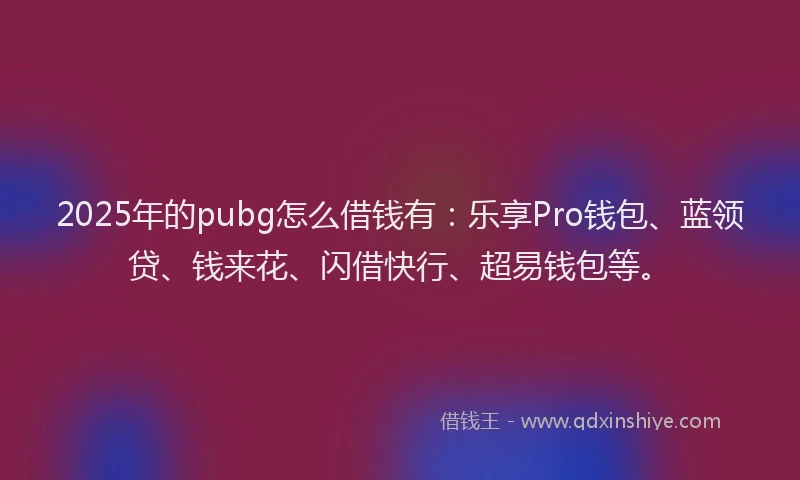 2025年的pubg怎么借钱有：乐享Pro钱包、蓝领贷、钱来花、闪借快行、超易钱包等。
