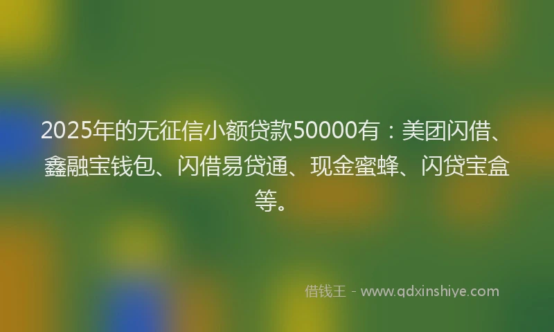 2025年的无征信小额贷款50000有：美团闪借、鑫融宝钱包、闪借易贷通、现金蜜蜂、闪贷宝盒等。