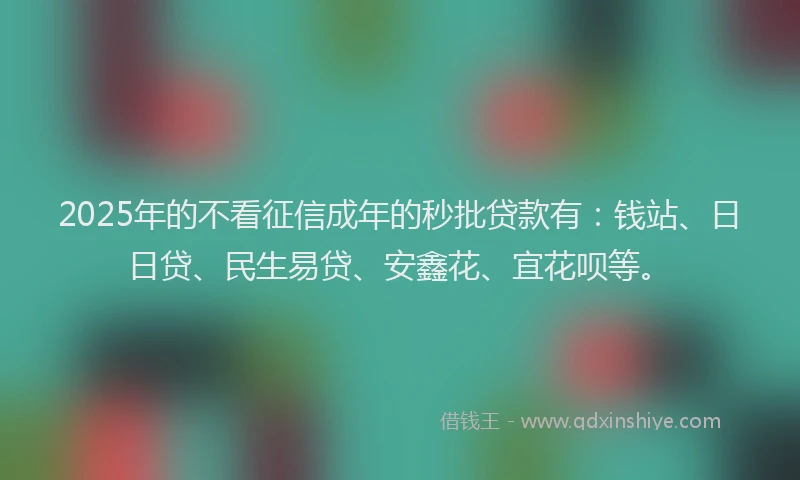 2025年的不看征信成年的秒批贷款有：钱站、日日贷、民生易贷、安鑫花、宜花呗等。