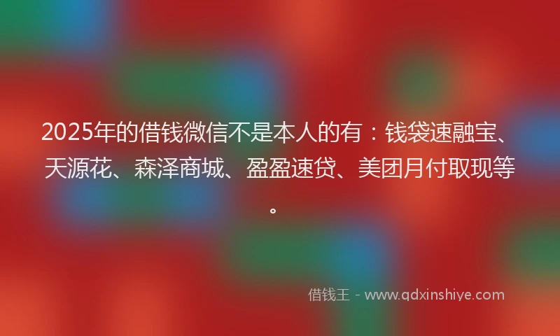 2025年的借钱微信不是本人的有：钱袋速融宝、天源花、森泽商城、盈盈速贷、美团月付取现等。