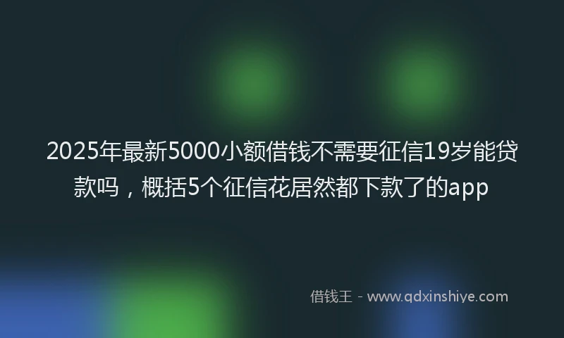 2025年最新5000小额借钱不需要征信19岁能贷款吗，概括5个征信花居然都下款了的app