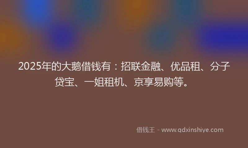 2025年的大鹅借钱有：招联金融、优品租、分子贷宝、一姐租机、京享易购等。