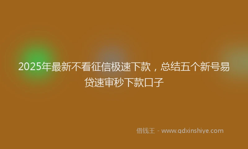 2025年最新不看征信极速下款，总结五个新号易贷速审秒下款口子