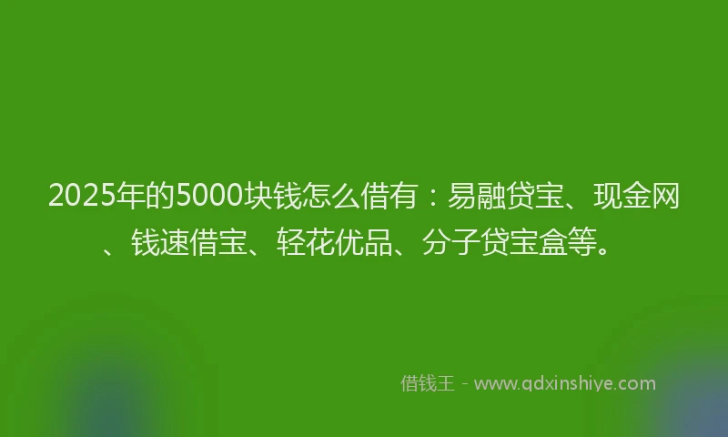 2025年的5000块钱怎么借有：易融贷宝、现金网、钱速借宝、轻花优品、分子贷宝盒等。
