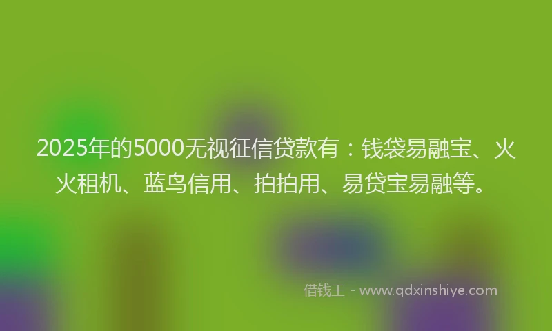 2025年的5000无视征信贷款有：钱袋易融宝、火火租机、蓝鸟信用、拍拍用、易贷宝易融等。