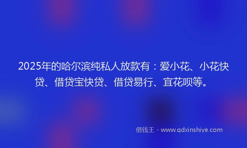 2025年的哈尔滨纯私人放款有：爱小花、小花快贷、借贷宝快贷、借贷易行、宜花呗等。