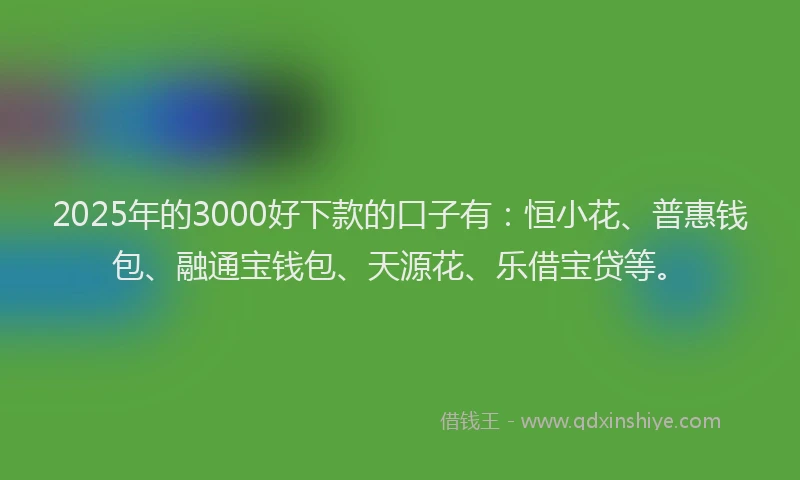 2025年的3000好下款的口子有：恒小花、普惠钱包、融通宝钱包、天源花、乐借宝贷等。