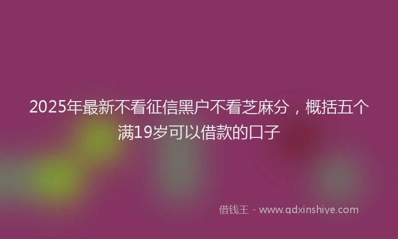 2025年最新不看征信黑户不看芝麻分，概括五个满19岁可以借款的口子