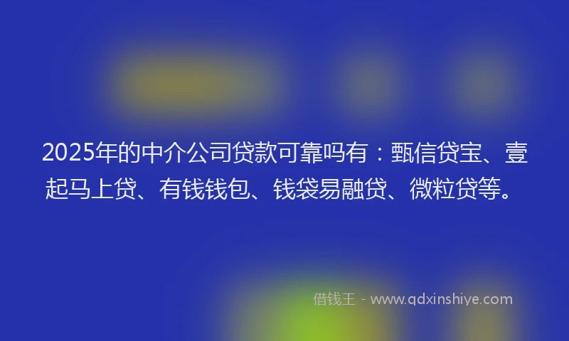 2025年的中介公司贷款可靠吗有：甄信贷宝、壹起马上贷、有钱钱包、钱袋易融贷、微粒贷等。