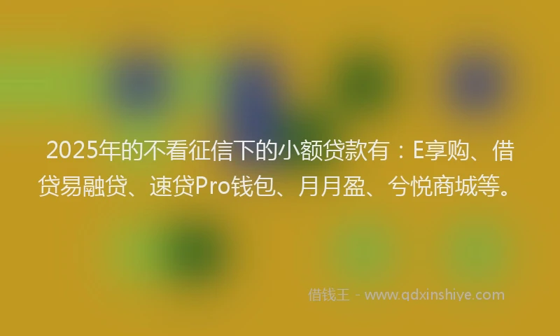 2025年的不看征信下的小额贷款有：E享购、借贷易融贷、速贷Pro钱包、月月盈、兮悦商城等。