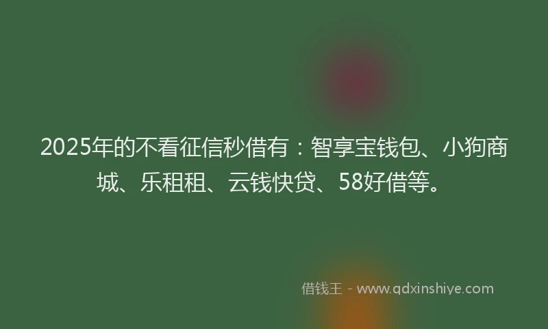 2025年的不看征信秒借有：智享宝钱包、小狗商城、乐租租、云钱快贷、58好借等。