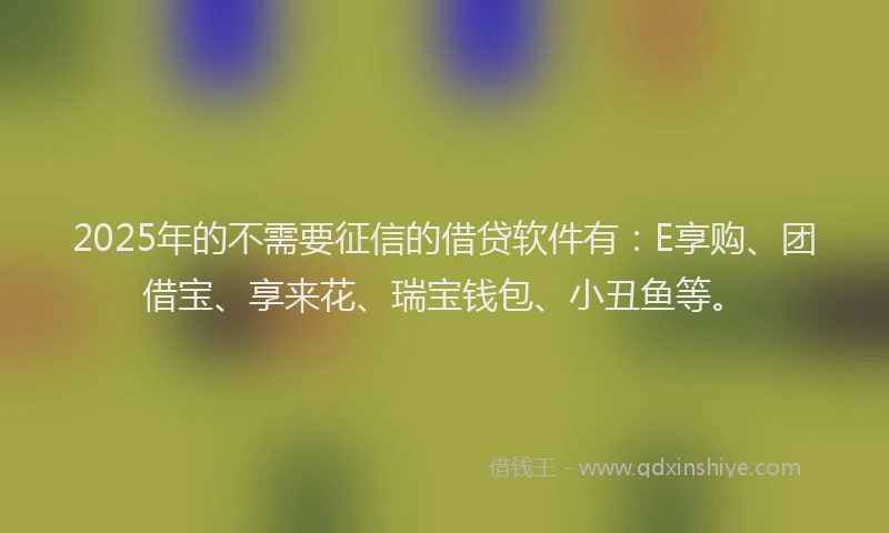 2025年的不需要征信的借贷软件有：E享购、团借宝、享来花、瑞宝钱包、小丑鱼等。