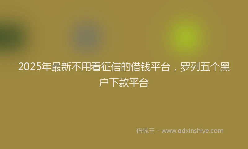 2025年最新不用看征信的借钱平台，罗列五个黑户下款平台