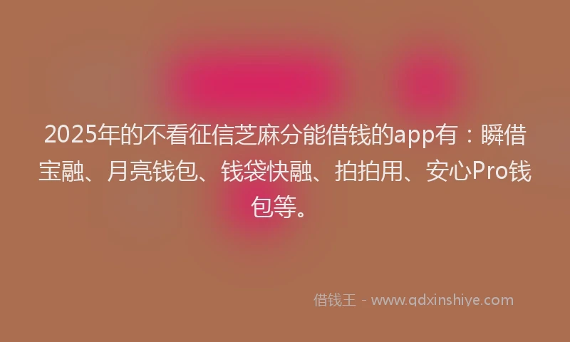 2025年的不看征信芝麻分能借钱的app有：瞬借宝融、月亮钱包、钱袋快融、拍拍用、安心Pro钱包等。